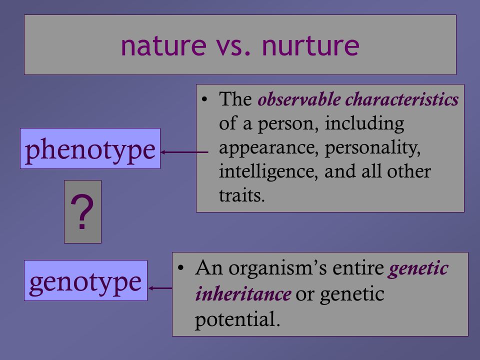 Discover the Basics of Nature vs Nurture Essay: Explore Humankind under the Loop!